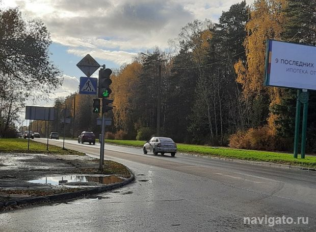 45 миллионов рублей выделили на восстановление газонов в Новосибирске