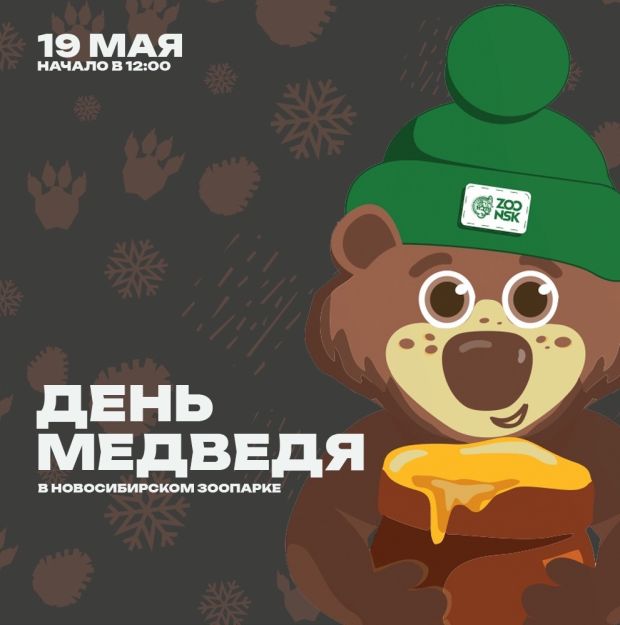 День медведя и начало летнего сезона отметят в Новосибирском зоопарке