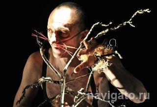 Сцена из спектакля «Петя и волк»