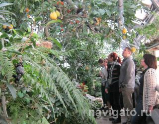 В оранжереях ботанического сада
