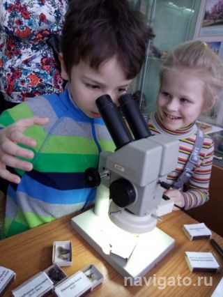 Таинственные грибы