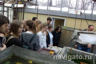 Вы милашки черепашки