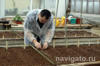 Труд учёного- терпение и поиск