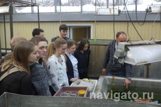 Школьники в оранжереях