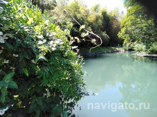 Парк Южные культуры