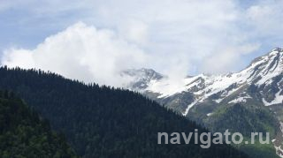 Горы Абхазии