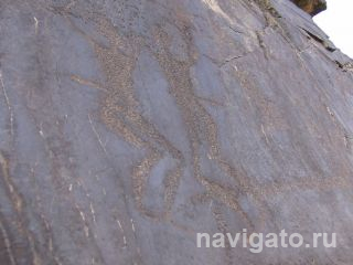 Сцены охоты