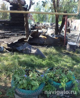 Обгорели даже цветы на красной линии