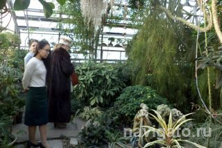 Манящие оранжереи