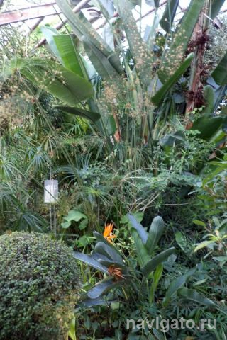 Подоконник вашей мечты