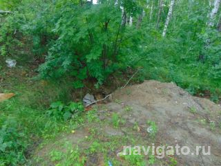 Засыпанный погреб