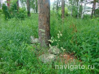 Место не для свалки!