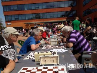 Шашки в Академпарке