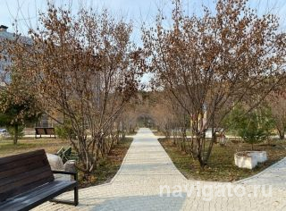 Брусчатка на Утиной заводи