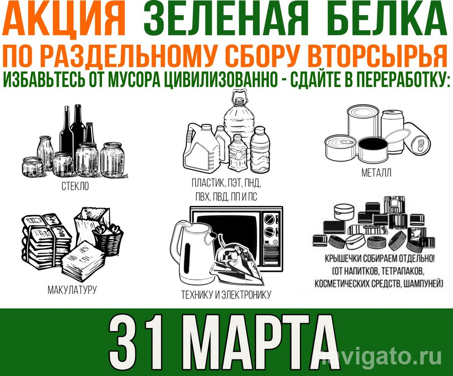 Бизнес план макулатуры по сбору