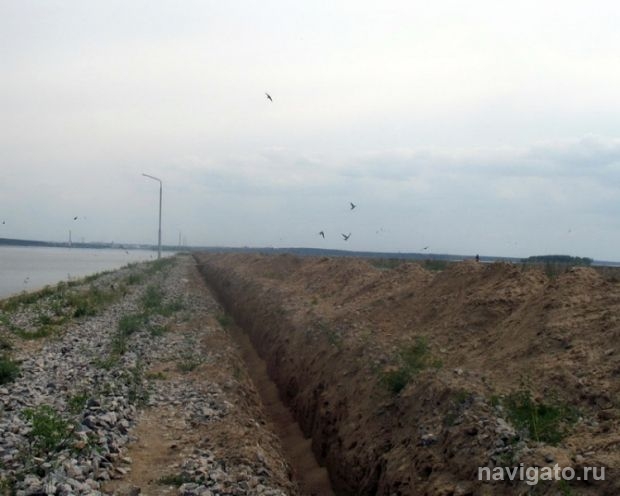 Ласточки пропали...