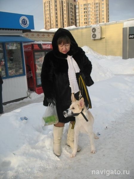 Соседи, давайте жить дружно!