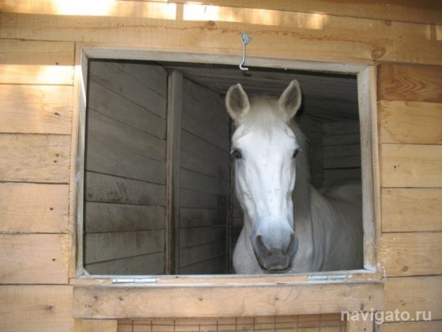 Дом для Белоснежки