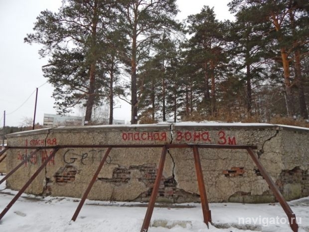 Спасите наши сосны!