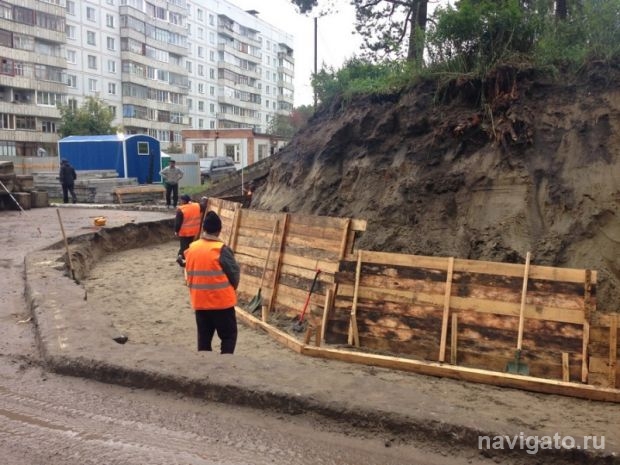 Ни одна сосна не пострадает?