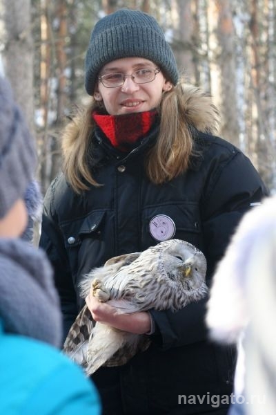 Волонтеры спасли сову