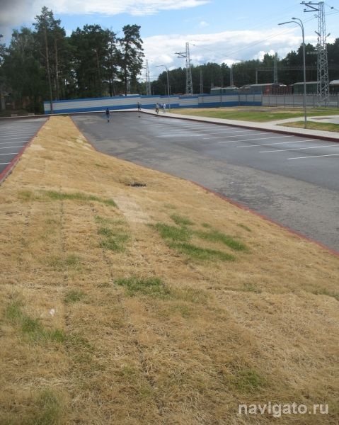 Газон на «Сеятеле» восстановят