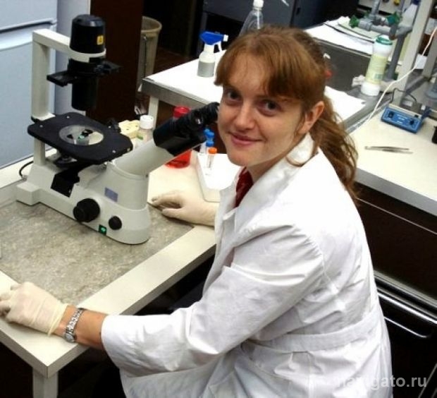 Лекарство против рака