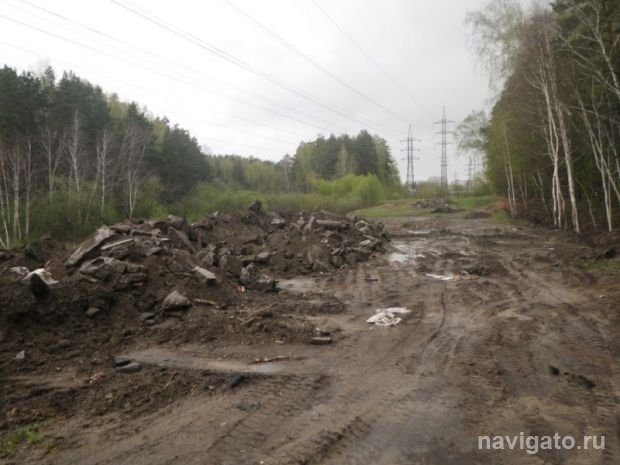 «Был лес, стала свалка...»