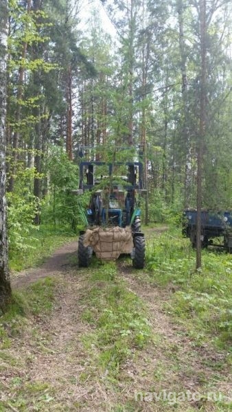 Приумножили зелёный мир
