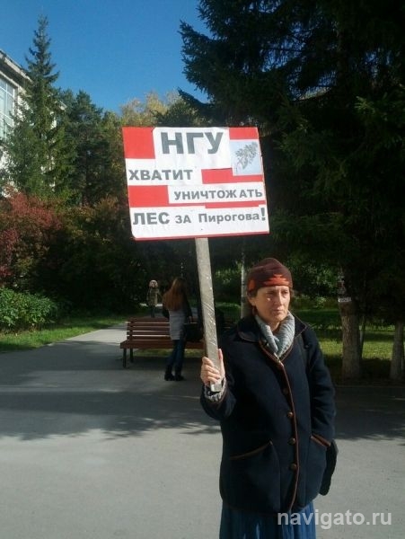 НГУ не планирует вырубок