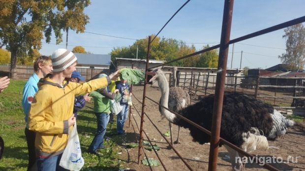 Поездка на ферму страусов