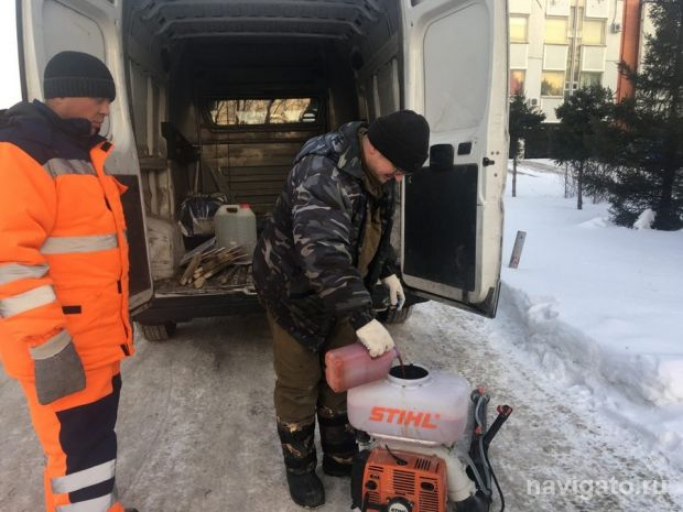 Антивандальные ёлочки