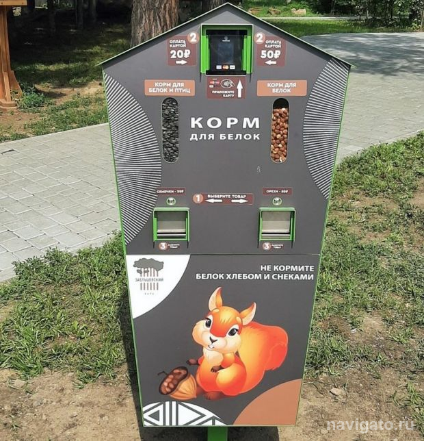 Автоматы с кормом для белок