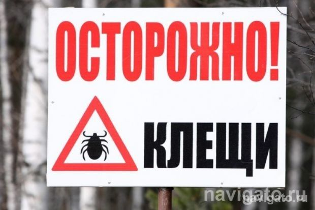 Берегитесь клещей