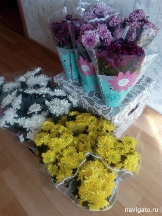 «Дети вместо цветов»