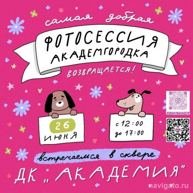 Для бездомных собак