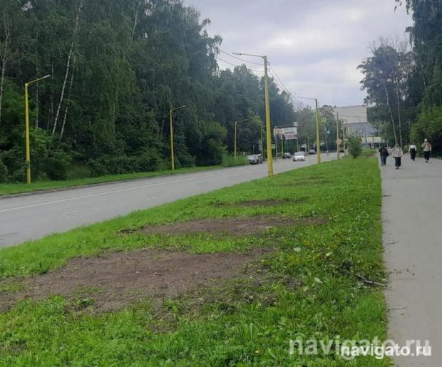 Для безопасности пешеходов