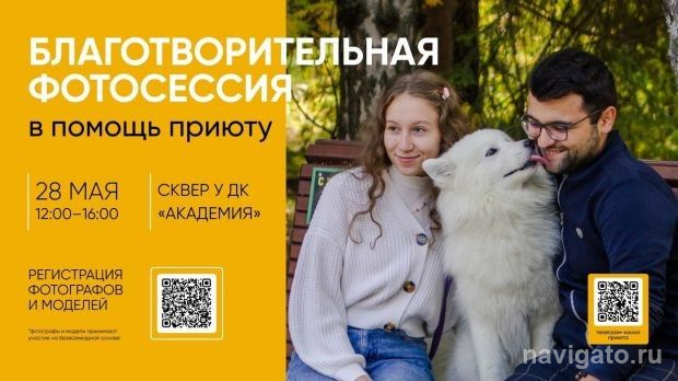 Для собачьего приюта