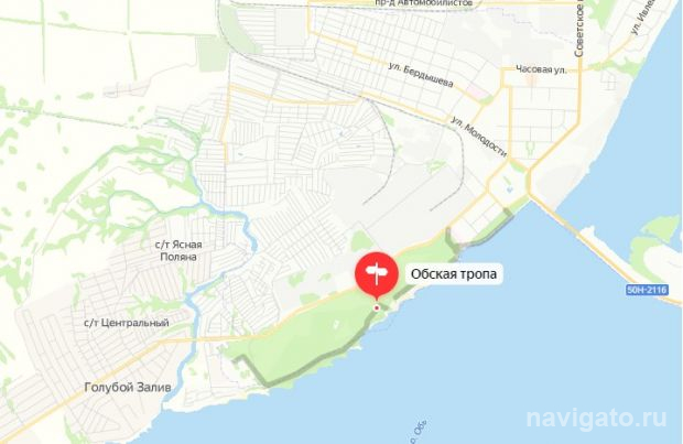 Экопроект школьников