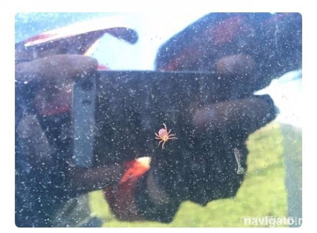 Эпидсезон в разгаре