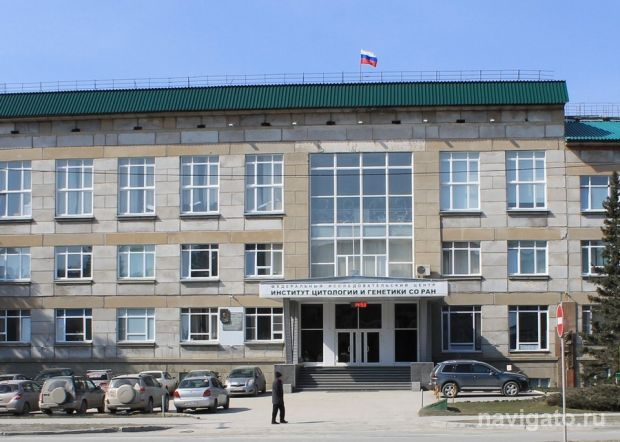 Ещё одна причина стресса