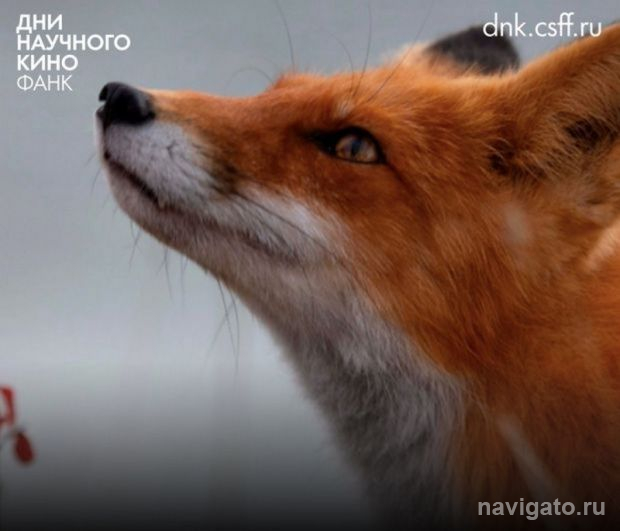 Фестиваль научного кино