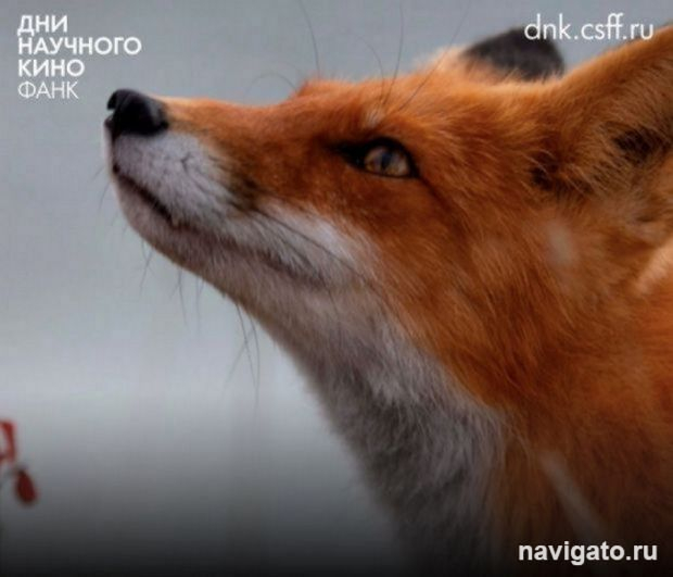 Фильмы о науке