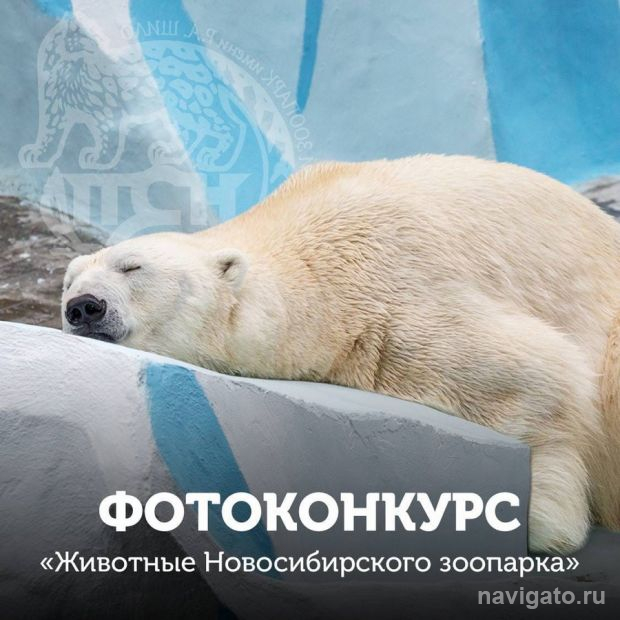 Фотоконкурс зоопарка