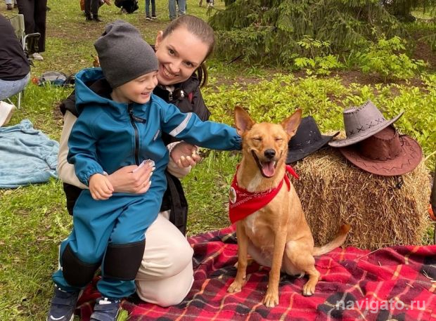 «Гав» – на собачьем «спасибо»