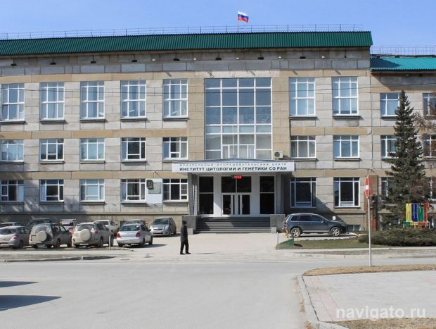 Гель для заживления ран