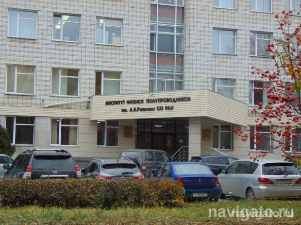 Госнаграды новосибирцам