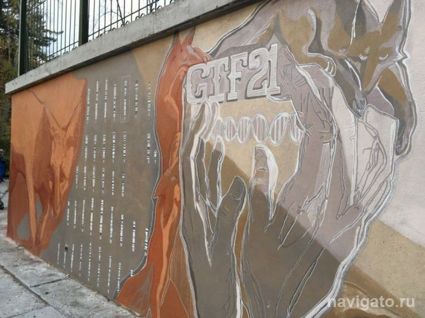 И снова «Графит науки»!