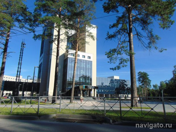 Вспоминая студенчество: преподаватели НГУ рассказали о своих первых лекциях