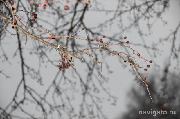 Тревога из-за политической ситуации